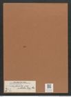 Navicula directa var. sutbilis (Greg.) Cleve. (de-Toni-Nr.: Genus 1, Species 44) Zeichnungen Sammlung Grunow Mappe 00036 (Herbarium_W_Grunow_drawings_Folder_00036)